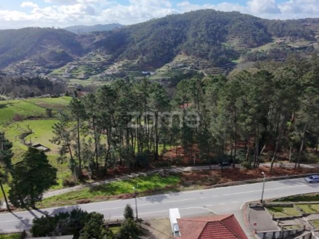Terreno para construção Freixo de Baixo