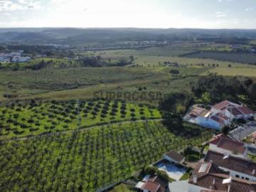 Terreno para Construção Gaeiras Pinhal do Ribeiro, às portas de Caldas da Rainha