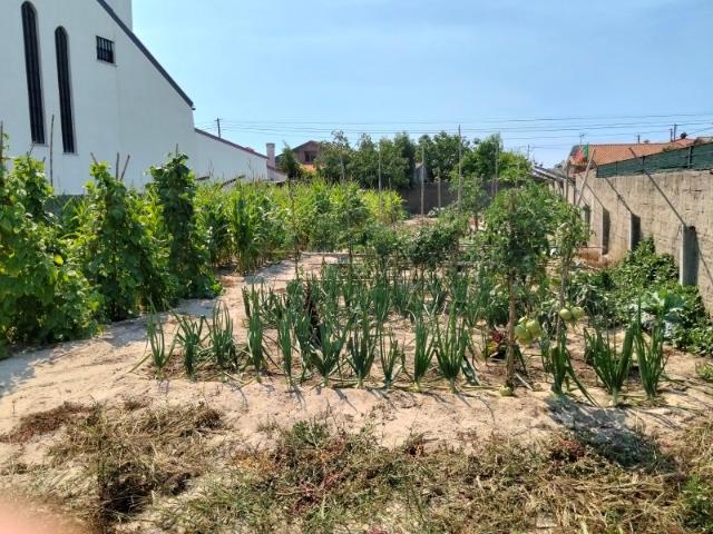 Terreno para construção Gafanha do Carmo