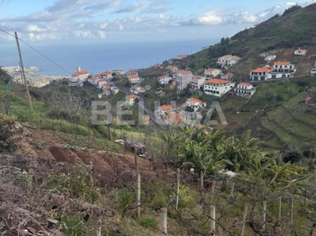TERRENO PARA CONSTRUÇÃO || GARACHICO || ESTREITO DE CÂMARA DE LOBOS