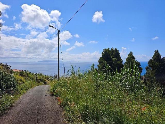 Terreno para Construção – Gaula 4950m² Gaula