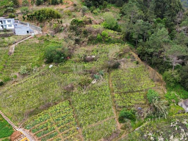 Terreno para Construção Ginjas S. Vicente