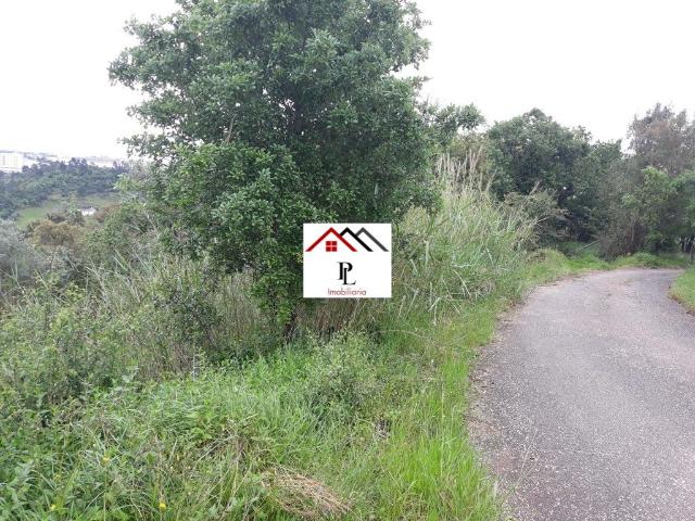 Terreno para construção junto ao Monte Formoso V415PL