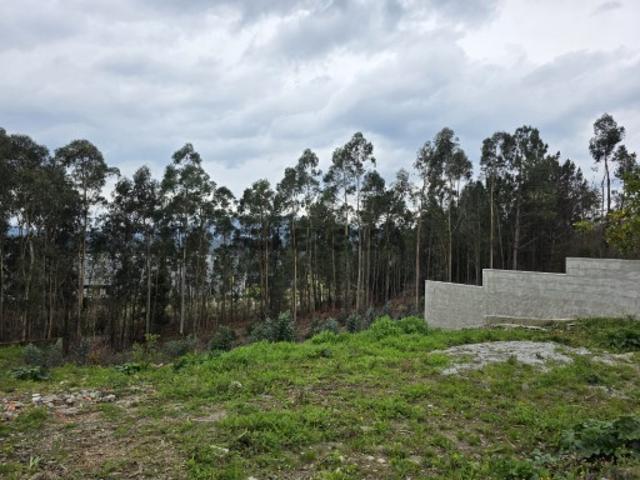 Terreno para Construção, Lanheses