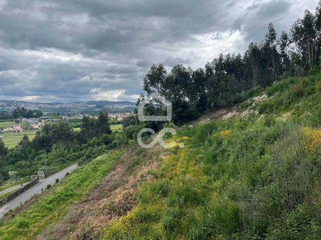Terreno Para Construção, Paredes