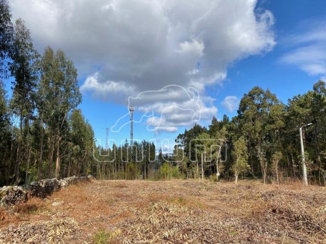 Terreno para construção perto de Stº Antão Caminha