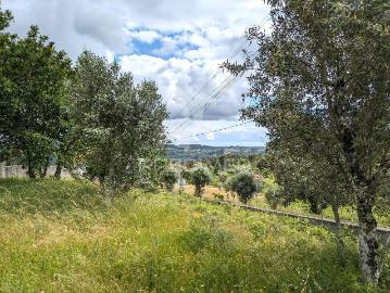 Terreno para construção próximo de Viseu