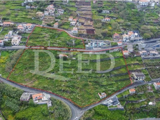 Terreno para construção Ribeira Brava Campanário