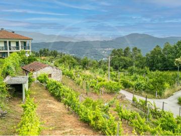 Terreno para Construção Ribeira de Pena