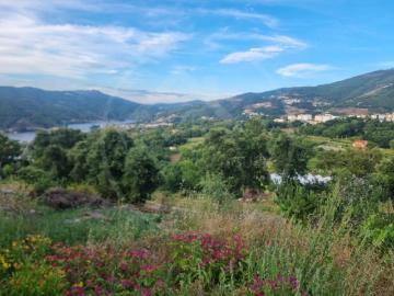 Terreno para construção Ribeira de Pena Boucinhas