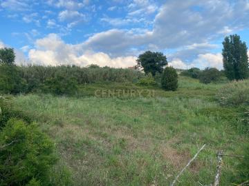 Terreno para Construção – Santa Catarina, Leiria