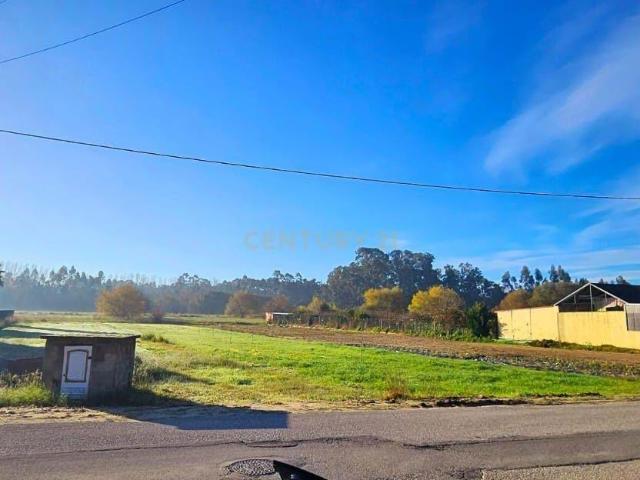 Terreno para construção 50 mt de frente | Santa Catarina, Vagos