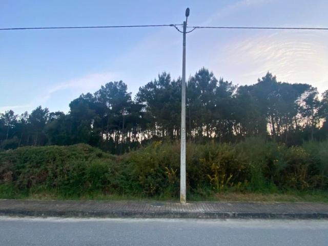 Terreno para construção sito no Bairro Social Ribeiro do Fojo