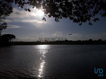 Poceirão e Marateca