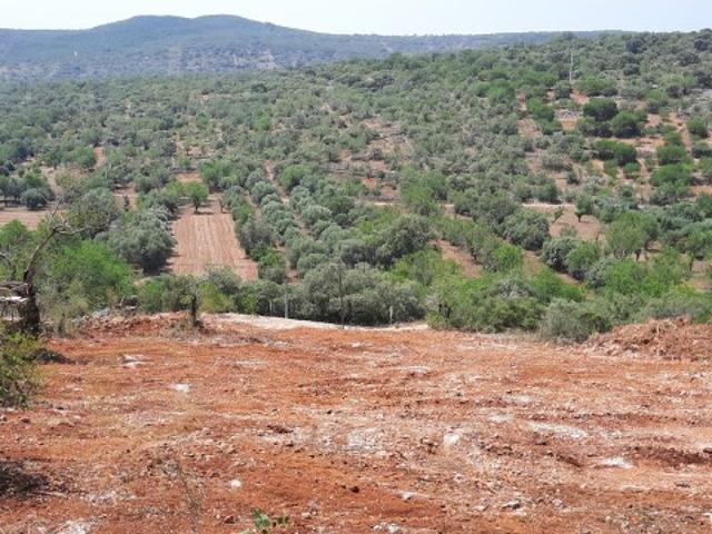 Terreno para construção uma moradia na Nave do Barão/Salir