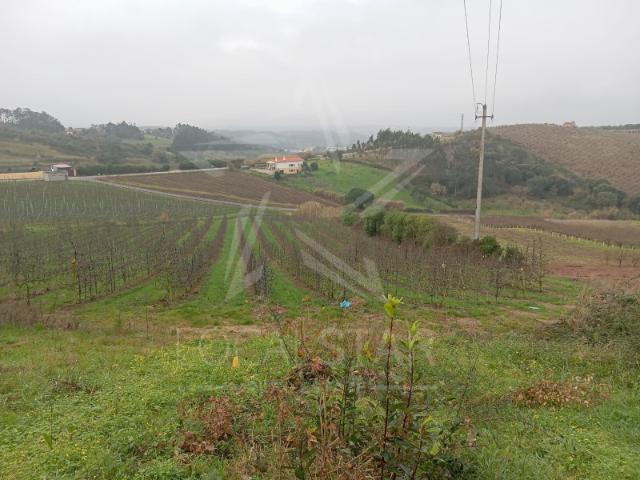 Terreno10 mil m2 para construção 1 moradia Vale Cuvas Carvalhal Benfeito