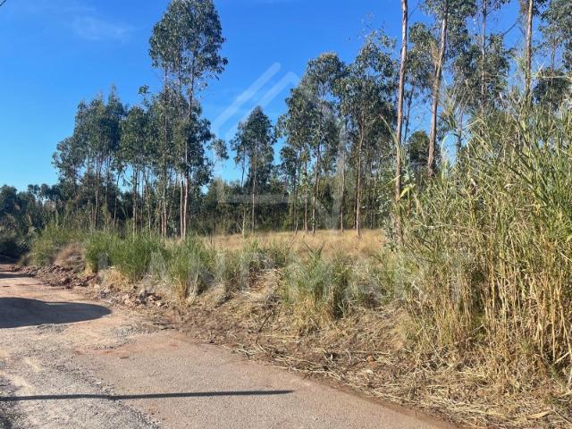 Terreno para construção, Valado dos frades