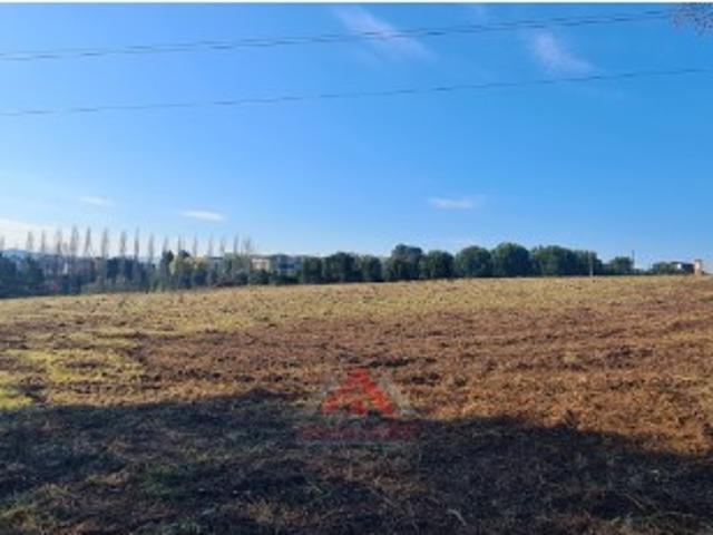 Terreno Para Construção Venda em Maceira,Leiria