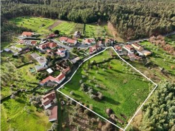 Terreno Para Construção Venda em Molelos,Tondela