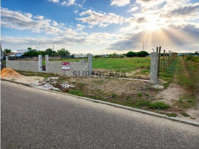 Terreno Para Construção Venda em Alpiarça,Alpiarça