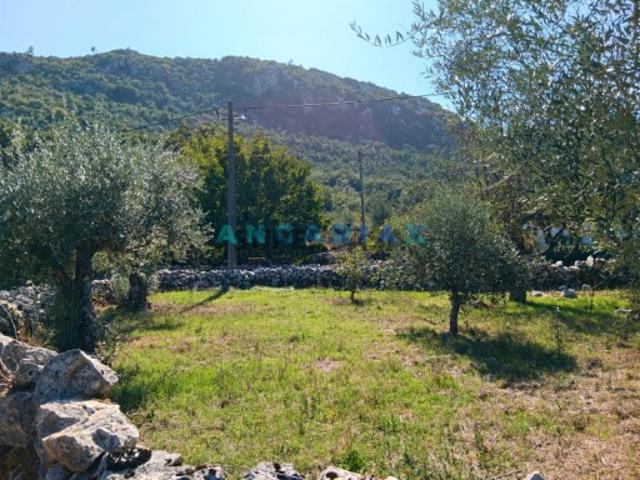 Terreno Para Construção Venda em Alvados e Alcaria,Porto de Mós