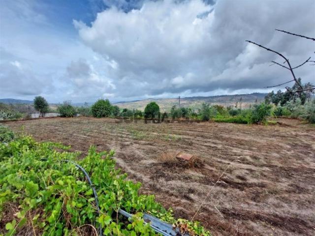 Terreno Para Construção Venda em Castelo de Penalva,Penalva do Castelo