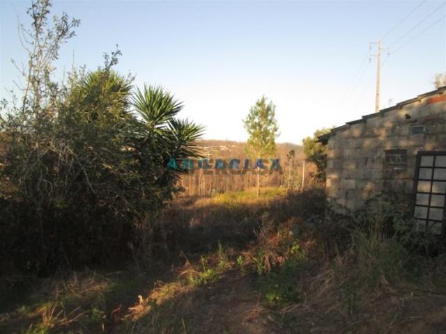 Terreno Para Construção Venda em Colmeias e Memória,Leiria