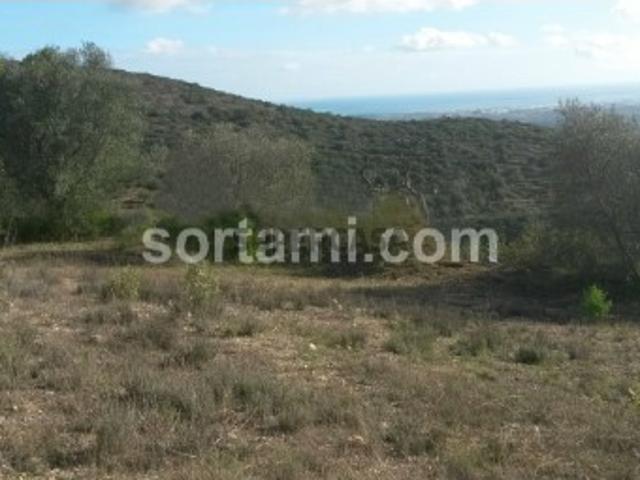 Terreno Para Construção Venda em Conceição e Estoi,Faro