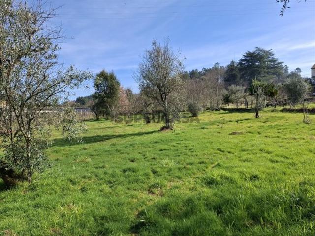 Terreno Para Construção Venda em Fornos de Maceira Dão,Mangualde