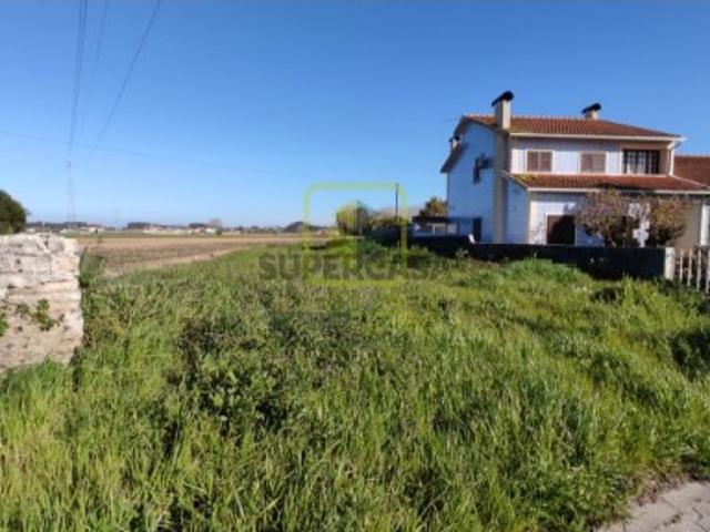 Terreno Para Construção Venda em Ílhavo São Salvador,Ílhavo