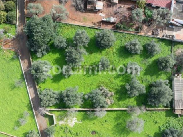 Terreno Para Construção Venda em Loulé São Sebastião,Loulé