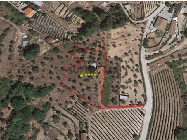 Terreno Para Construção Venda em Pindo,Penalva do Castelo