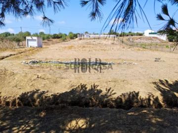 Terreno Para Construção Venda em Pontével,Cartaxo