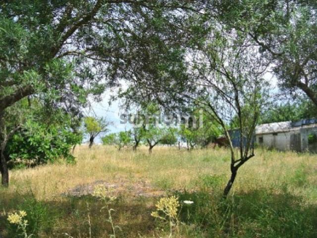 Terreno Para Construção Venda em Santa Bárbara de Nexe,Faro