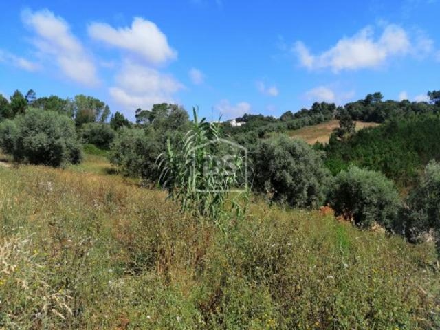 Terreno Para Construção Venda em Santa Eufémia e Boa Vista,Leiria