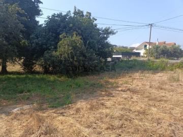 Terreno Para Construção Venda em Seia, São Romão e Lapa dos Dinheiros,Seia