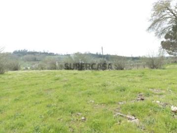 Terreno Para Construção Venda em Silgueiros,Viseu