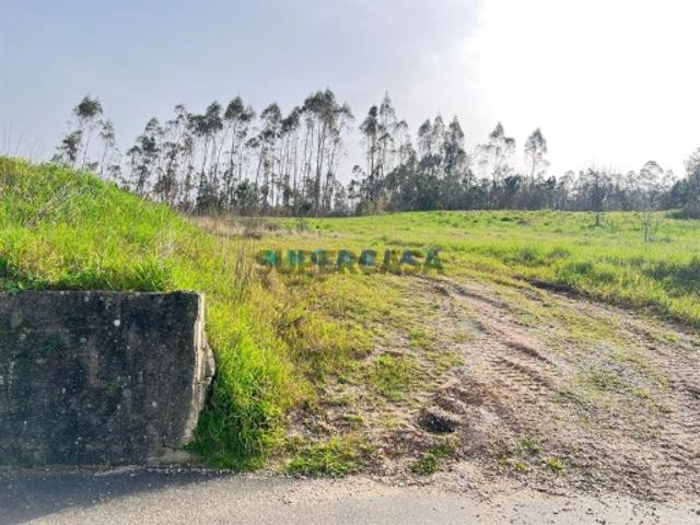 Terreno Para Construção Venda em Souto da Carpalhosa e Ortigosa,Leiria