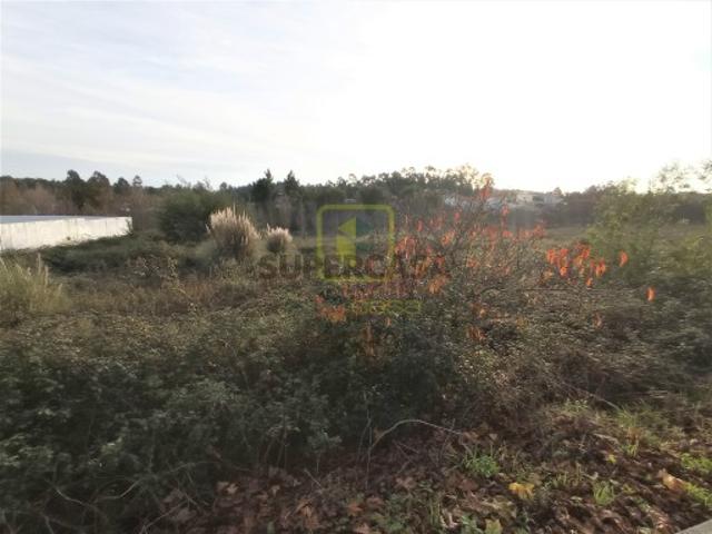 Terreno Para Construção Venda em Valongo do Vouga,Águeda