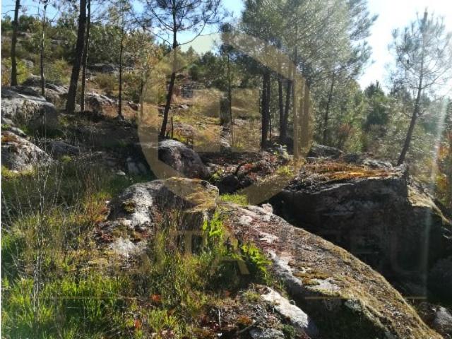 Terreno Para Construção, Viseu