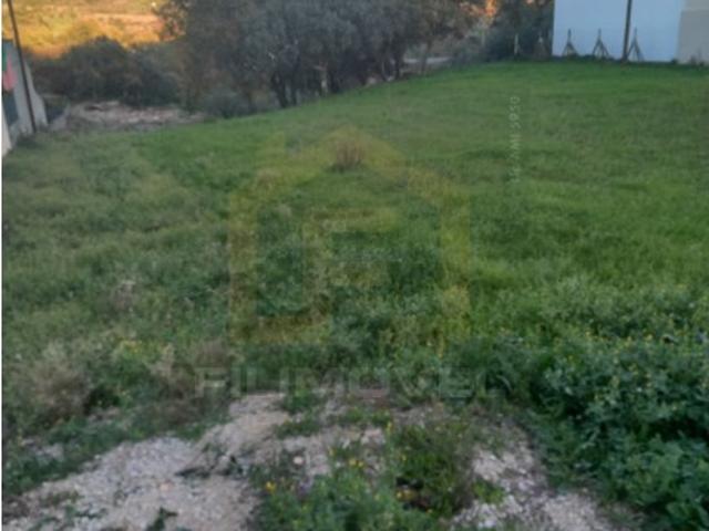 Terreno para construção Zambujal Ourém