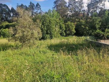 Terreno para construção 1440m² Albergaria dos doze Pombal