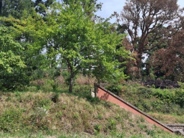 Terreno para construção