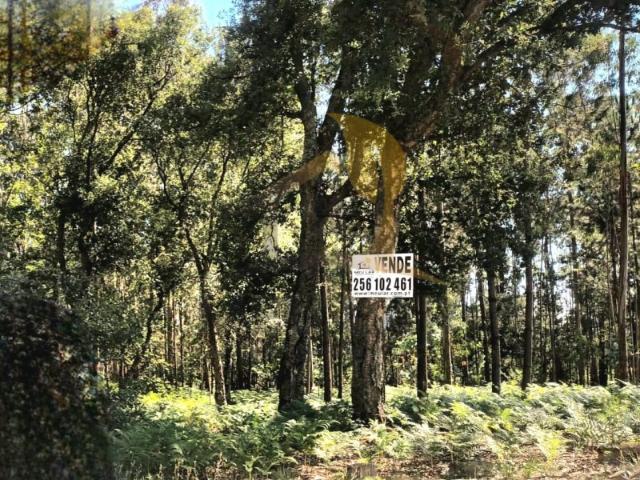 Terreno para construção