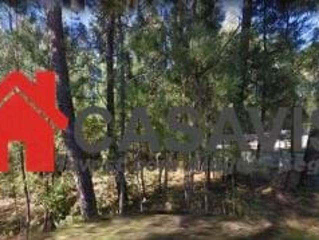 Terreno para Construção