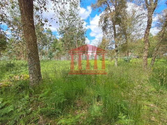 TERRENO PARA CONSTRUÇÃO BARCELOS