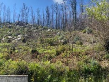 TERRENO PARA CONSTRUÇÃO
