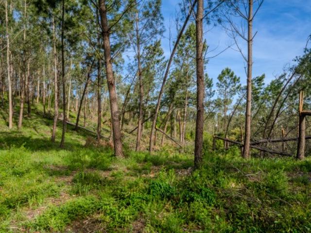 Terreno para construção
