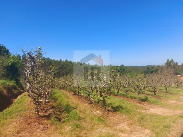 Terreno para construção