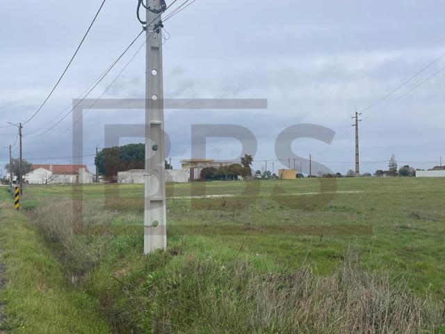Terreno para Construção 2.000m² | A Sua Casa de Sonho